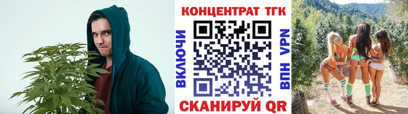 Купить закладки  Сычёвка  ТГК концентрат 
