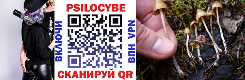 Псилоцибиновые грибы Psilocybe  Купить  Сычёвка 